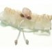 Ivory Seashell Garter