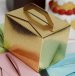 Tote Favour Box (pkg 10) - assorted colours