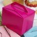 Tote Favour Box (pkg 10) - assorted colours