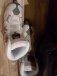 Women's skates size 8