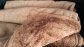 faux bearskin bedspread, light brown in good condition
