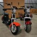 3000 Watts Newest fat Tyre Citycoco Electric Scooter